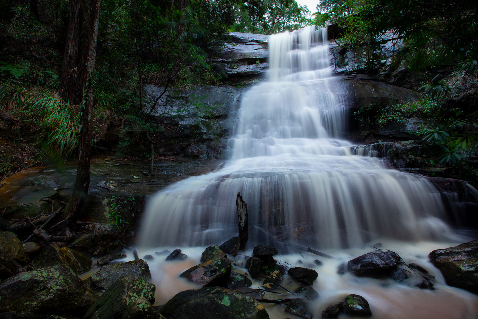 Waterfall - Gosford